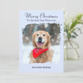 アイスブルーウィンタードッグママカスタムペット写真クリスマス シーズンカード (スタンド正面)