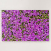 アイスプランツの紫の花 (難易度:高) パズル (横)