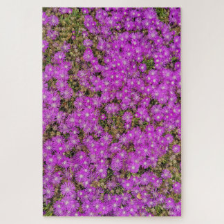 アイスプランツの紫の花 (難易度:高) パズル