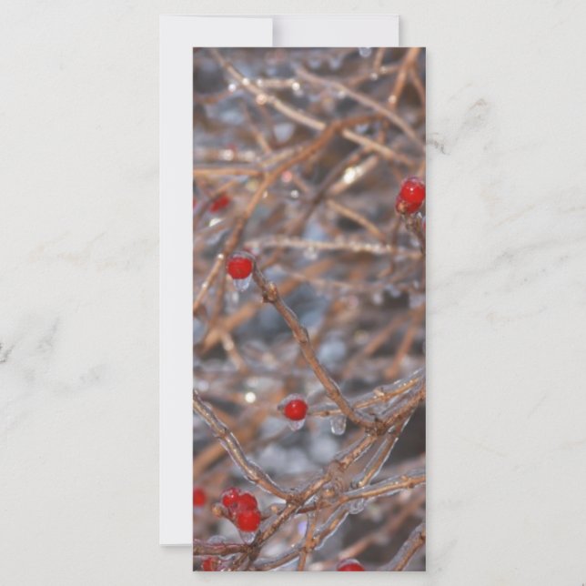 アイスベリー (正面)