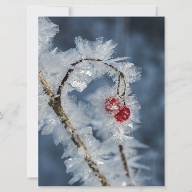 アイスベリー (正面)