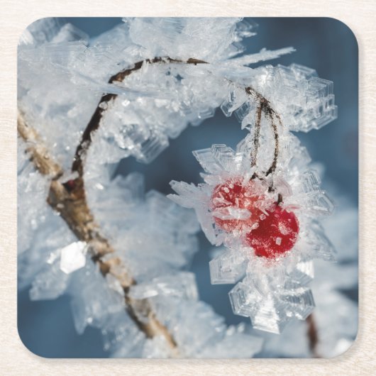 アイスベリー スクエアペーパーコースター (正面)