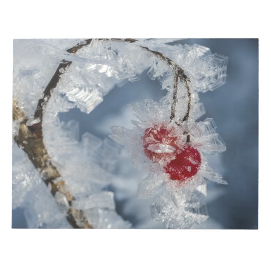 アイスベリー ノートパッド (正面)