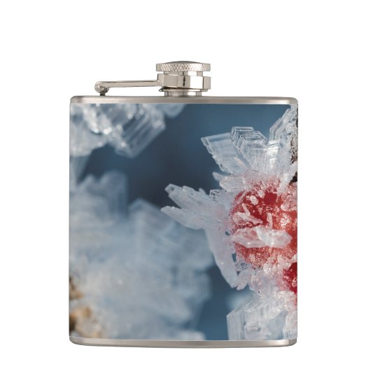 アイスベリー フラスク (正面)
