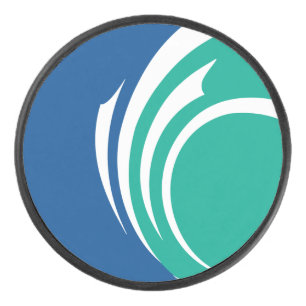 アイスホッケーパック