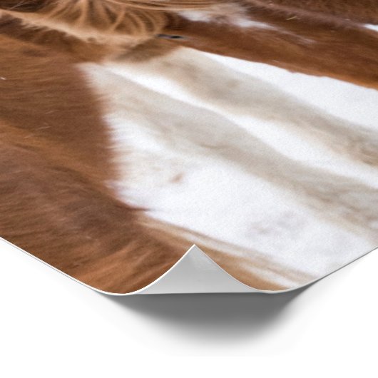 アイスランおもしろいドホースポートレート ポスター (角)