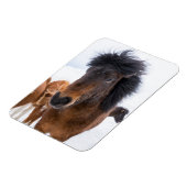 アイスランおもしろいドホースポートレート マグネット (左側)