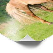 アイスランおもしろいド馬遊の飼育紙 フォトプリント            (角)