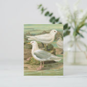 アイスランドとアイボリーガルルヴィンテージバードイラストレーション ポストカード (スタンド正面)