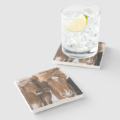 アイスランドのアイスランドウズル ストーンコースター (横)