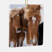 アイスランドのアイスランドウズル セラミックオーナメント (右)