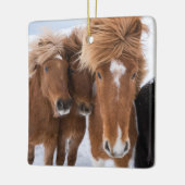 アイスランドのアイスランドウズル セラミックオーナメント (左)