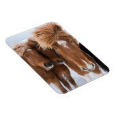 アイスランドのアイスランドウズル マグネット (右側)