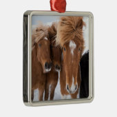 アイスランドのアイスランドウズル メタルオーナメント (右)