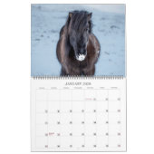 アイスランドのウマ野生生物写真カスタム年 カレンダー (1月 2026)