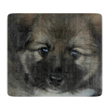 アイスランドのシェプドッグ2014-0808