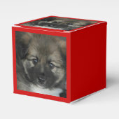 アイスランドのシェプドッグ2014-0808 フェイバーボックス (正面サイド)