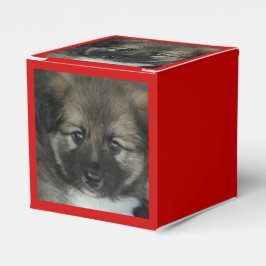 アイスランドのシェプドッグ2014-0808 フェイバーボックス