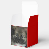 アイスランドのシェプドッグ2014-0808 フェイバーボックス (オープン)