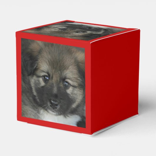 アイスランドのシェプドッグ2014-0808 フェイバーボックス (裏面サイド)