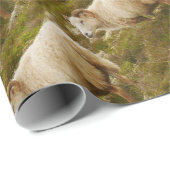 アイスランドのヒツジの包装紙 ラッピングペーパー (ロールコーナー)