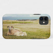 アイスランドのヒツジのiPhoneの場合 Case-Mate iPhoneケース (裏面(横))