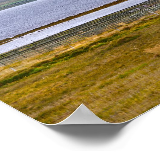 アイスランドのフィヨルドで羊を分類するサンゴ ポスター (角)