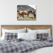 アイスランドのホファンの近くの馬の群れ キャンバスプリント (インサイチュ (寝室))