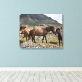 アイスランドのホファンの近くの馬の群れ キャンバスプリント (インサイチュ (ウッドフロア))