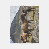 アイスランドのホファンの近くの馬の群れ フリースブランケット (正面)