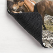 アイスランドのホファンの近くの馬の群れ マウスパッド (コーナー)