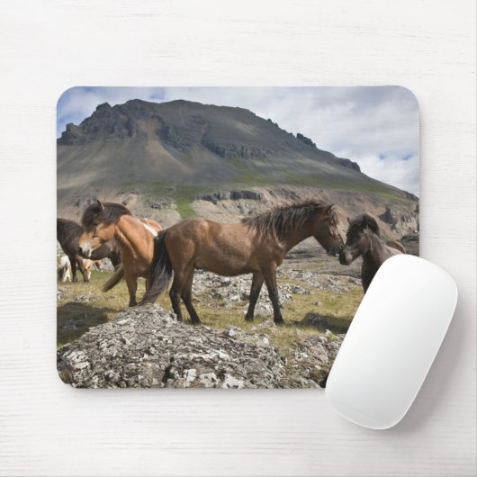 アイスランドのホファンの近くの馬の群れ マウスパッド (マウス)