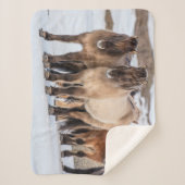 アイスランドのホfn近くの冬にアイスランドの馬 シェルパブランケット (正面)