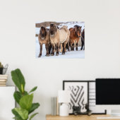 アイスランドのホfn近くの冬にアイスランドの馬 ポスター (ホームオフィス)