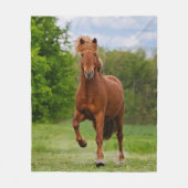 アイスランドのポニーおもしろいアットアトルト写真馬好き フリースブランケット (正面)