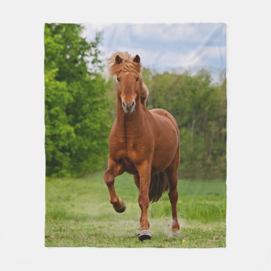 アイスランドのポニーおもしろいアットアトルト写真馬好き フリースブランケット (正面)