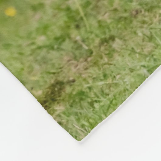 アイスランドのポニーおもしろいアットアトルト写真馬好き フリースブランケット (角)