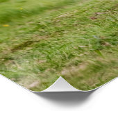 アイスランドのポニーおもしろいアットアトルト写真馬好き ポスター (コーナー)