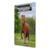 アイスランドのポニーおもしろいアットアトルト写真馬好き ミニクリップボード (アングル2)