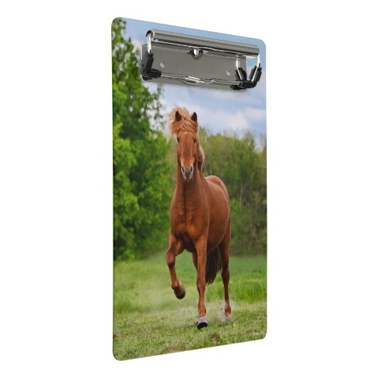 アイスランドのポニーおもしろいアットアトルト写真馬好き ミニクリップボード (アングル)