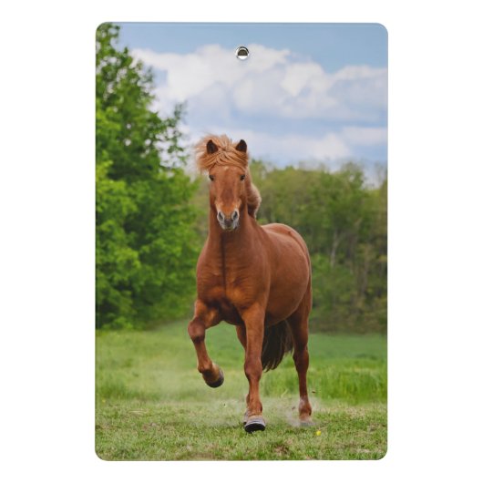 アイスランドのポニーおもしろいアットアトルト写真馬好き ミニクリップボード (裏面)