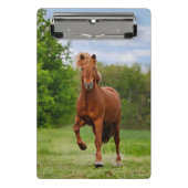 アイスランドのポニーおもしろいアットアトルト写真馬好き ミニクリップボード (正面)