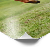 アイスランドのポニーおもしろいアットアトルト馬好き- フォトプリント            (角)