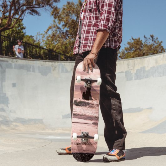 アイスランドのレイニスファラブラックサンドビーチに夕日 スケートボード (室外2)