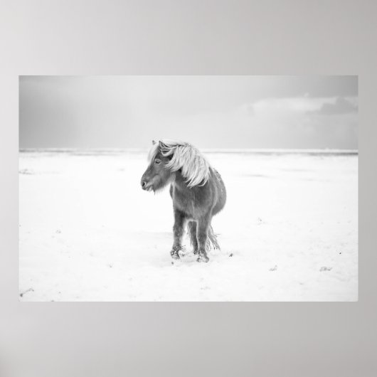 アイスランドのワイルドホース ポスター (正面)