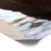 アイスランドの冬のアイスランドの馬3 ポスター (角)