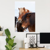 アイスランドの冬のアイスランドの馬3 ポスター (ホームオフィス)