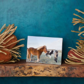 アイスランドの冬のアイスランドの馬 フォトプラーク (側面)