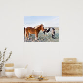 アイスランドの冬のアイスランドの馬 ポスター (キッチン)