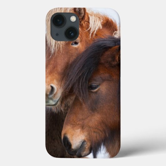 アイスランドの冬のアイスランドホース Case-Mate iPhoneケース (裏面)